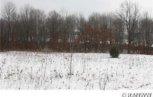 2nd image of 0 E Bramer Road