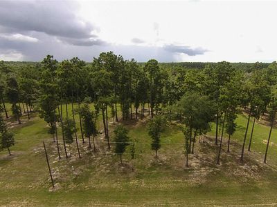 246 Pinchback Dr, Anahuac, TX, 77514