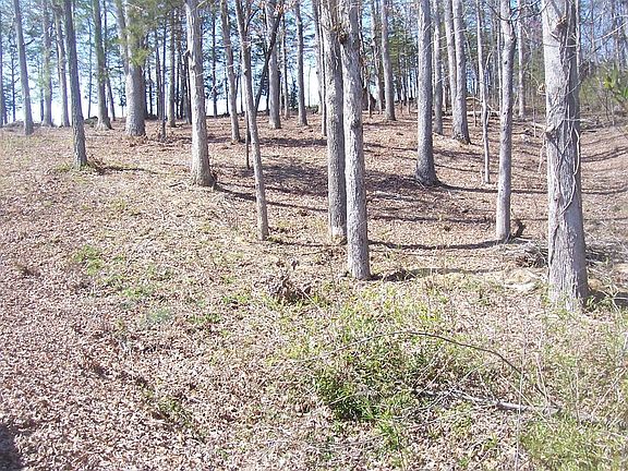 5th image of LOT 15 Romines Ln