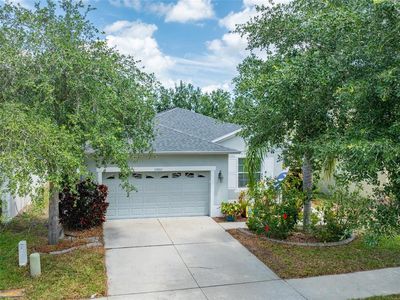 13803 Chalk Hill Pl, Riverview, FL, 33579