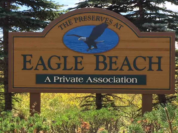 6439 Lora Bette Dr, Alanson, MI 49706