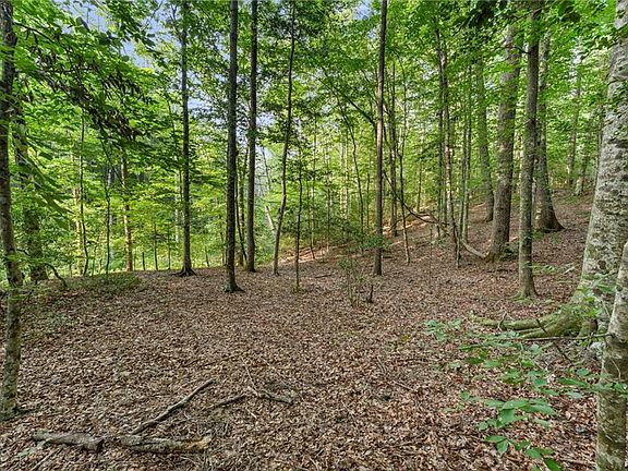 5th image of LOT 9 Deerwood Ct