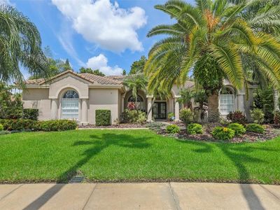 12113 Clear Harbor Dr, Tampa, FL, 33626