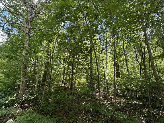 3rd image of LOT 29 Maplestone Rd