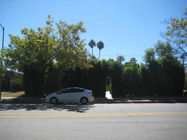 Tall bushes offer total privacy