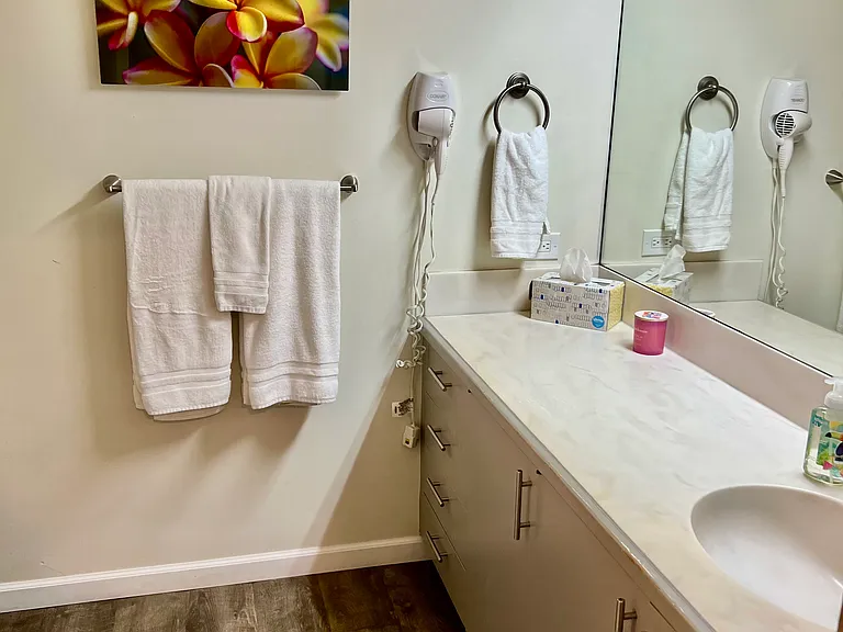 2560 Kekaa Dr #L303 — Photo 46