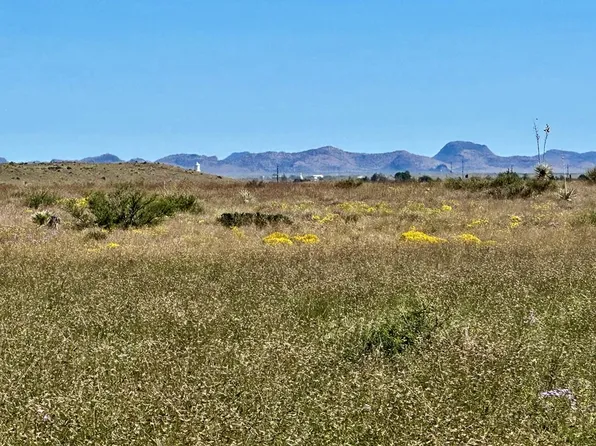18311 State Highway 90, Marfa, TX 79843