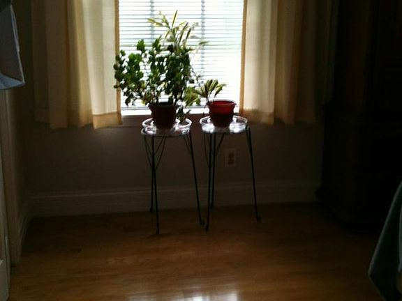3rd image of 601 Logsdon Ct