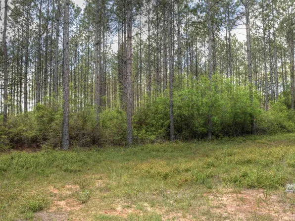 Sandy Ramp Rd, Defuniak Springs, FL 32433