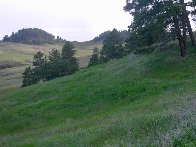 1st image of Tract K-7r Country Hills Estates