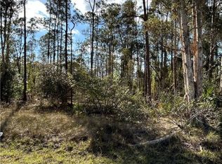 1314 Maple Ave N, Lehigh Acres, FL 33972