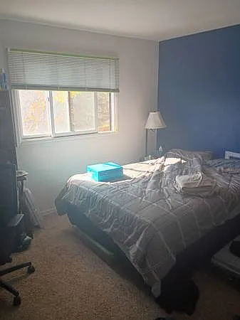 4 bed, 2.5 bath, 3886 sqft, $1,100 — Photo 4