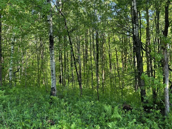 xxx Beaver Creek Rd, Hermantown, MN 55811
