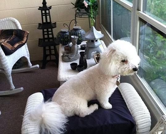 vinyl back porch (lani)