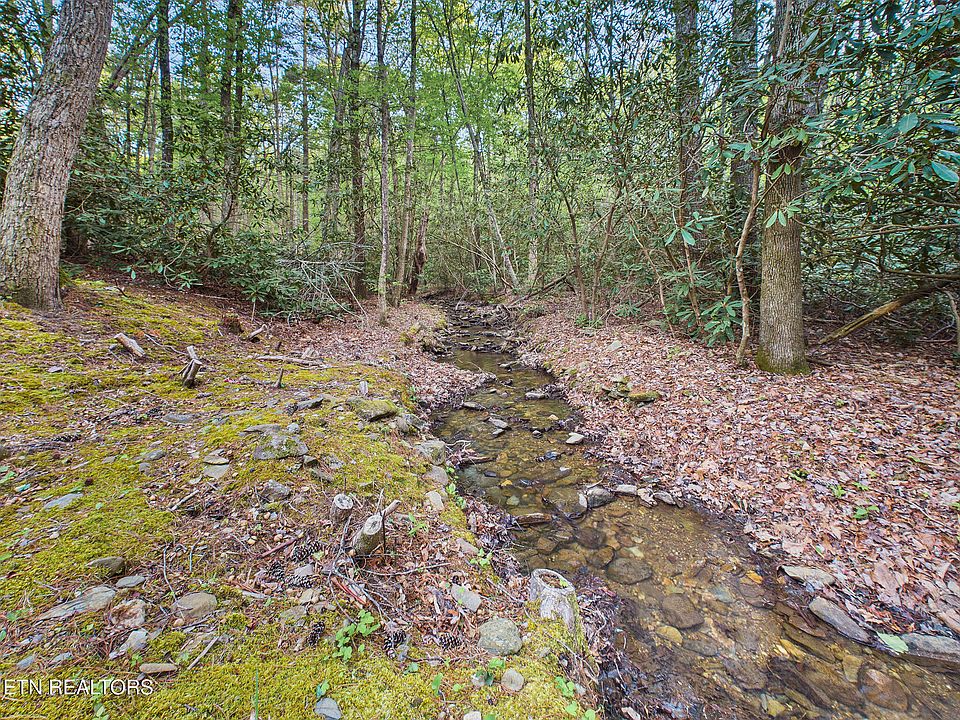 4th image of 113 Rivendell Ln