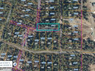 48344 S Trophy St, Talkeetna, AK 99676