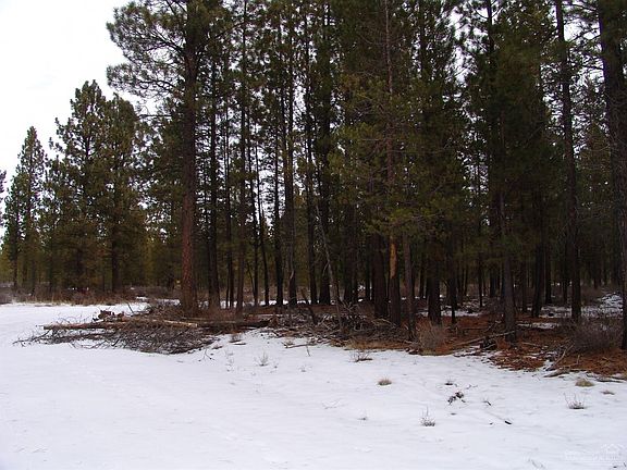 2nd image of 50588 Deer St