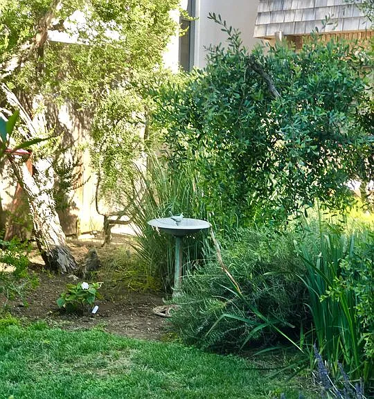 23752 Malibu Rd — Photo 36