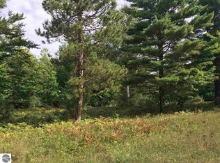 3992 Wildwood Trl, Manistee, MI 49660