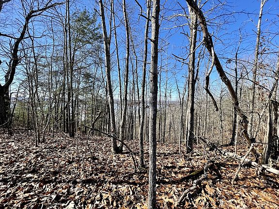 5th image of 0 Riverview Dr Lot 39