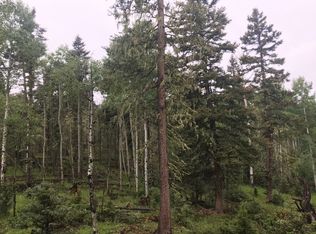 Rio Grande Ter, Angel Fire, NM 87710