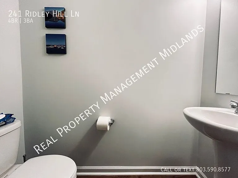 241 Ridley Hill Ln — Photo 21