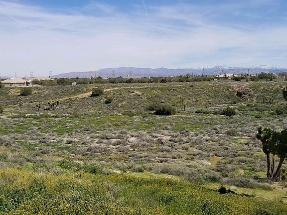 5th image of Cantel Ct