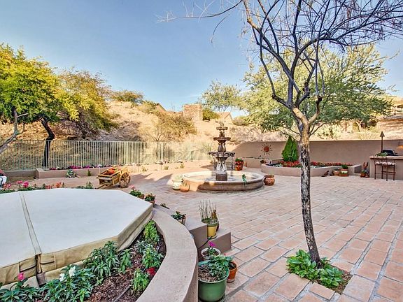 Desert Willow (24)