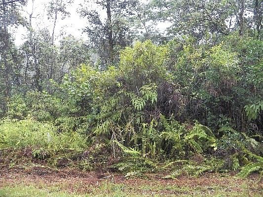 3rd image of Railroad Ave Lot 414