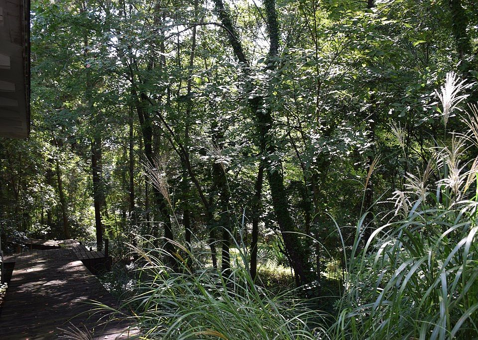 116 Leighton Rd, Oxford, MS 38655 Zillow