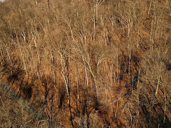 Build your getaway home