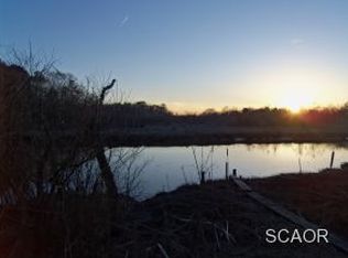 29162 Finch Ln, Milton, DE 19968