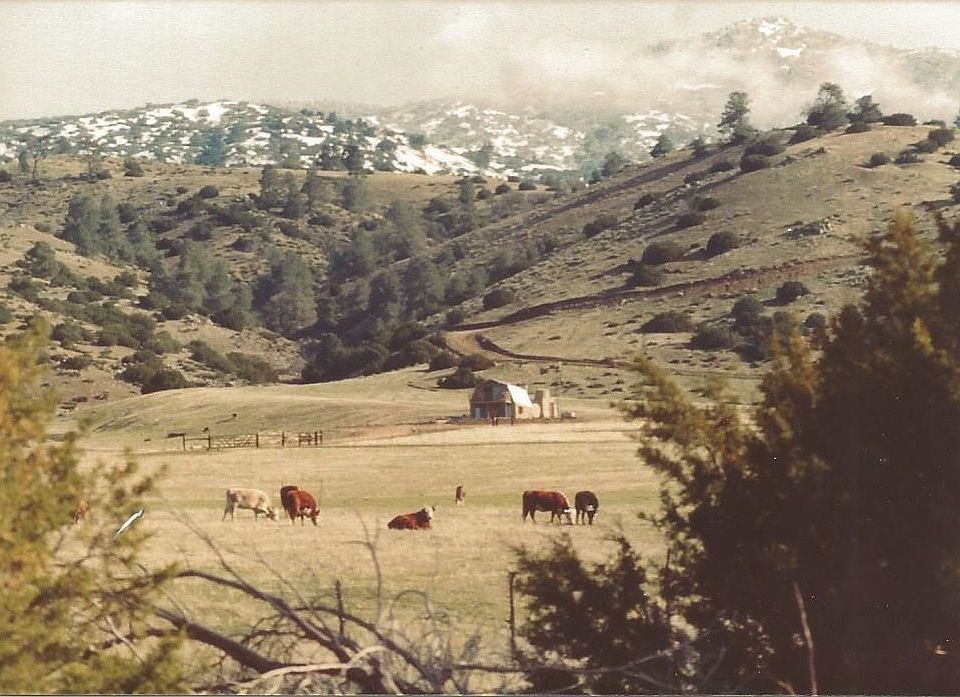 Breath-taking views!