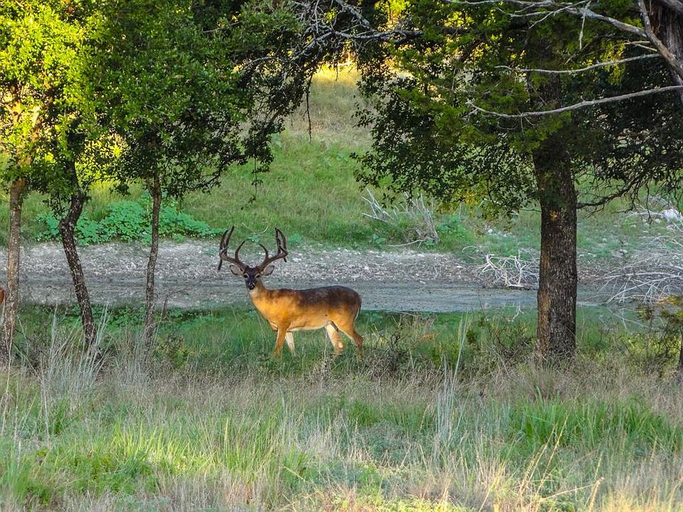 1st image of 1632 County Road 4120