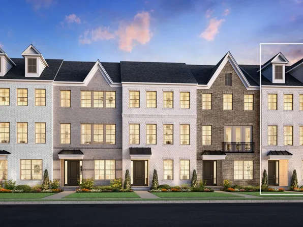 Coralberry Plan, Meadowlark - Sapling Collection