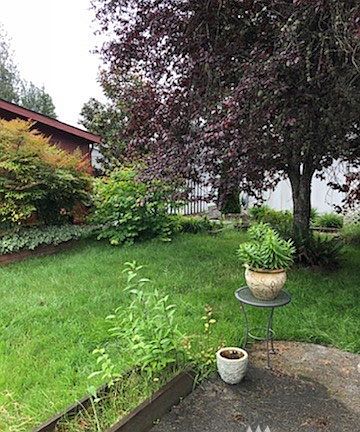 Spacious backyard with patio for relaxing. 