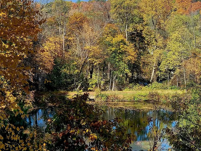461 Route 199 — Photo 24