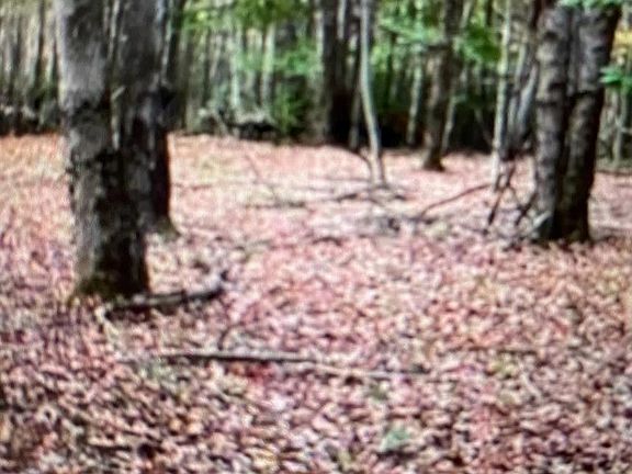 3rd image of County Route 312