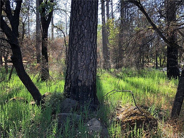 2nd image of 905 Waggoner Rd