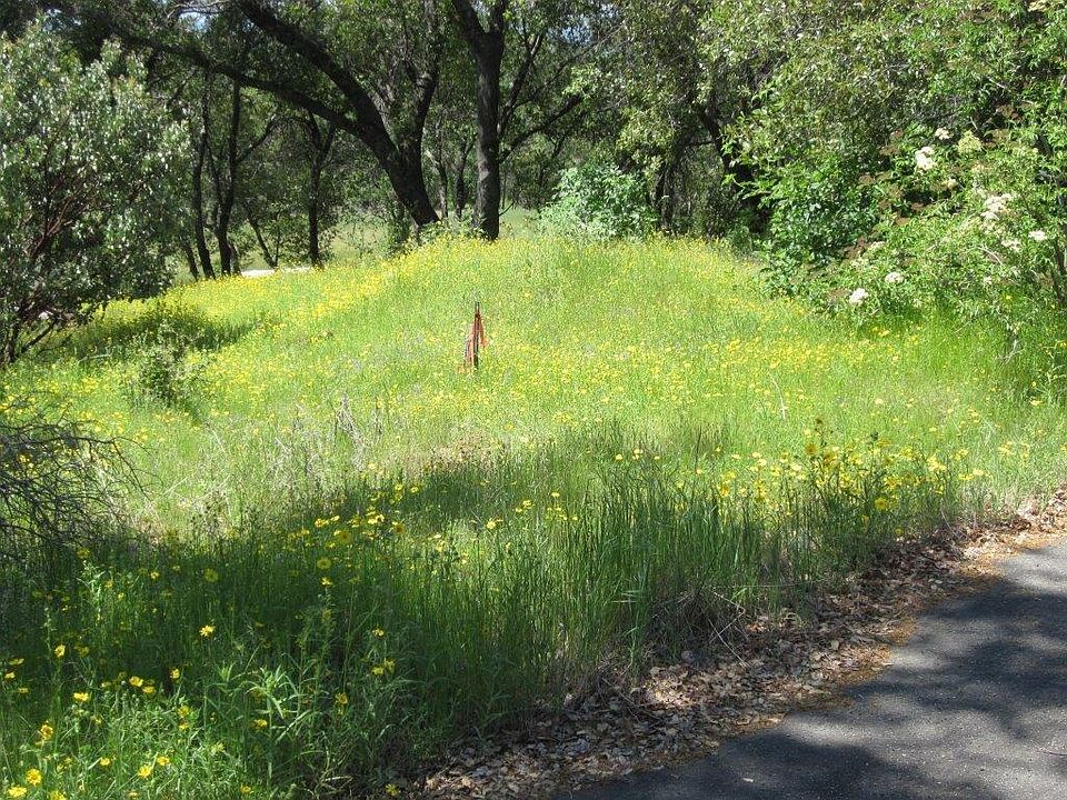 1st image of 0 Enchanted Oaks Dr