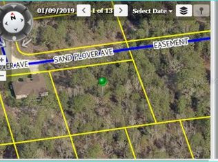 14168 Sand Plover Ave, Weeki Wachee, FL 34614