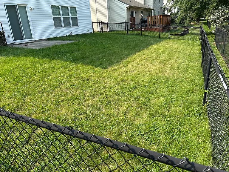 Fenced in back yard