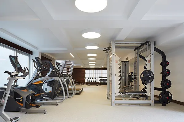 Rented by Bold New York | media 37