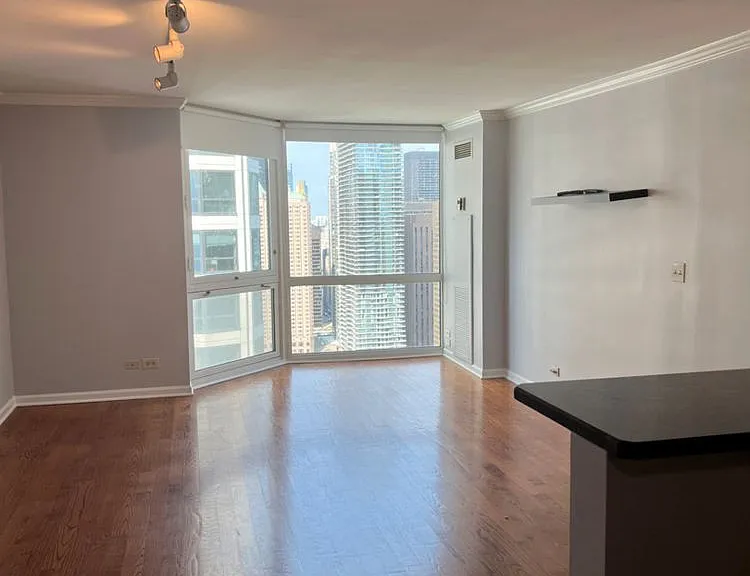 195 N Harbor Dr #3807 — Photo 2