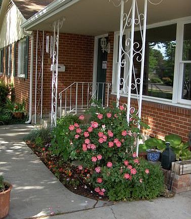 Entrance w/ Rose in bloom