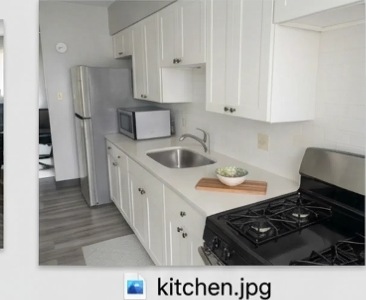 La Grange Park Upgraded One bed — Photo 4