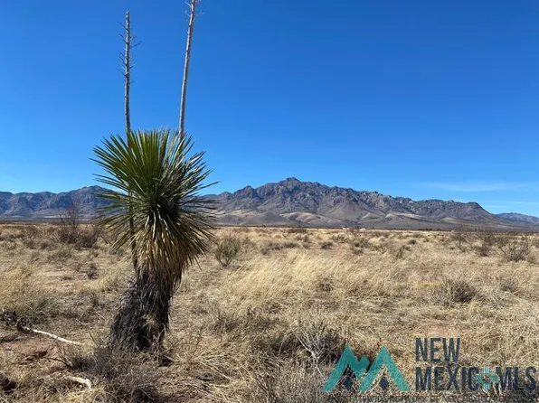 Corner Spur & Stateline Roads Rd, Rodeo, NM 88056