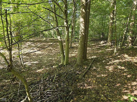 4th image of 1700 Dogwood Lake Dr