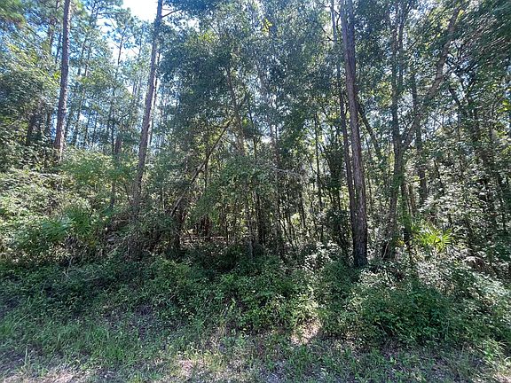 4th image of Tbd NE 497th Street