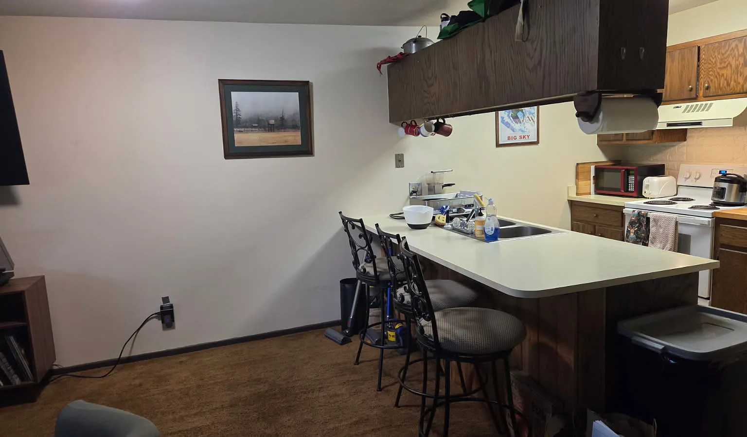 2 bed, 828 sqft, $1,750 — Photo 3
